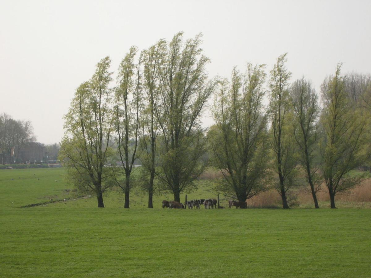 Quaint Farmhouse Near River In Oosterwijk Leerdam Extérieur photo